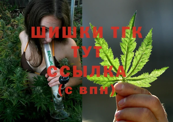 прущие грибы Абдулино